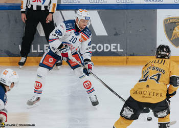 C.G Photographie, Club National League, Colin Girard, HCA, HCA Vs ZSCLions, HCAjoie, Hockey Club Ajoie, Maillot Jaune, NL, National League, Porrentruy, RAIFFEISEN ARENA, Saison 2024-25, hockey