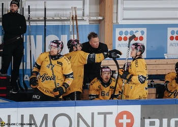C.G Photographie, Club National League, Colin Girard, HCA, HCA Vs ZSCLions, HCAjoie, Hockey Club Ajoie, Maillot Jaune, NL, National League, Nummelin Petteri Assist. Coach, Porrentruy, RAIFFEISEN ARENA, Saison 2024-25, Staff, hockey
