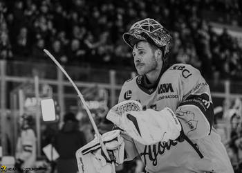 40 Ciaccio Damiano, C.G Photographie, Club National League, Colin Girard, Fin de match, Gardien, Groupe, HCA, HCAjoie, Hockey Club Ajoie, Joueurs 1ERE, Maillot Jaune, NL, National League, Porrentruy, RAIFFEISEN ARENA, Saison 2024-25, Victoire, emotion, hockey