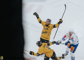 87 Pedretti Marco, But, C.G Photographie, Club National League, Colin Girard, HC Ajoie, HCA, HCA Vs EVZ, Joueurs 1ERE, NL, National League, RAIFFEISEN ARENA, Saison 2024-25, Saison24-25, célébration, hockey