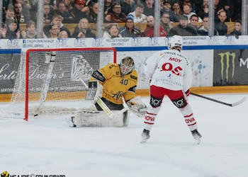 C.G Photographie, Club National League, Colin Girard, HC Ajoie, HCA, NL, National League, RAIFFEISEN ARENA, Saison24-25, hockey
