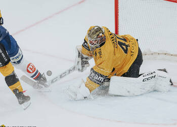 40 Ciaccio Damiano, C.G Photographie, Club National League, Colin Girard, Gardien, HC Ajoie, HCA, HCA Vs ZSCLions, Joueurs 1ERE, NL, National League, RAIFFEISEN ARENA, Saison 2024-25, Saison25-26, hockey