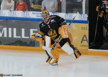 C.G Photographie, Club National League, Colin Girard, HC Ajoie, HCA, HCA Vs SC Bern, NL, National League, RAIFFEISEN ARENA, Saison25-26, hockey