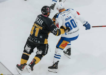 41 Bellemare Pierre-Edouard, C.G Photographie, Club National League, Colin Girard, HC Ajoie, HCA, NL, National League, RAIFFEISEN ARENA, Saison 2025-26, Saison25-26, Tatar, hockey