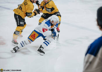 C.G Photographie, Club National League, Colin Girard, HC Ajoie, HCA, HCA Vs EVZ, NL, National League, RAIFFEISEN ARENA, Saison25-26, hockey