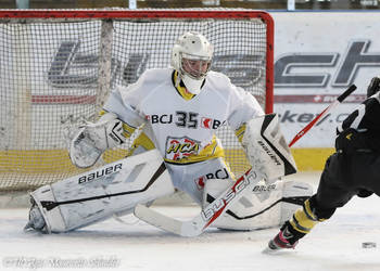 Swiss Ice Hockey Day