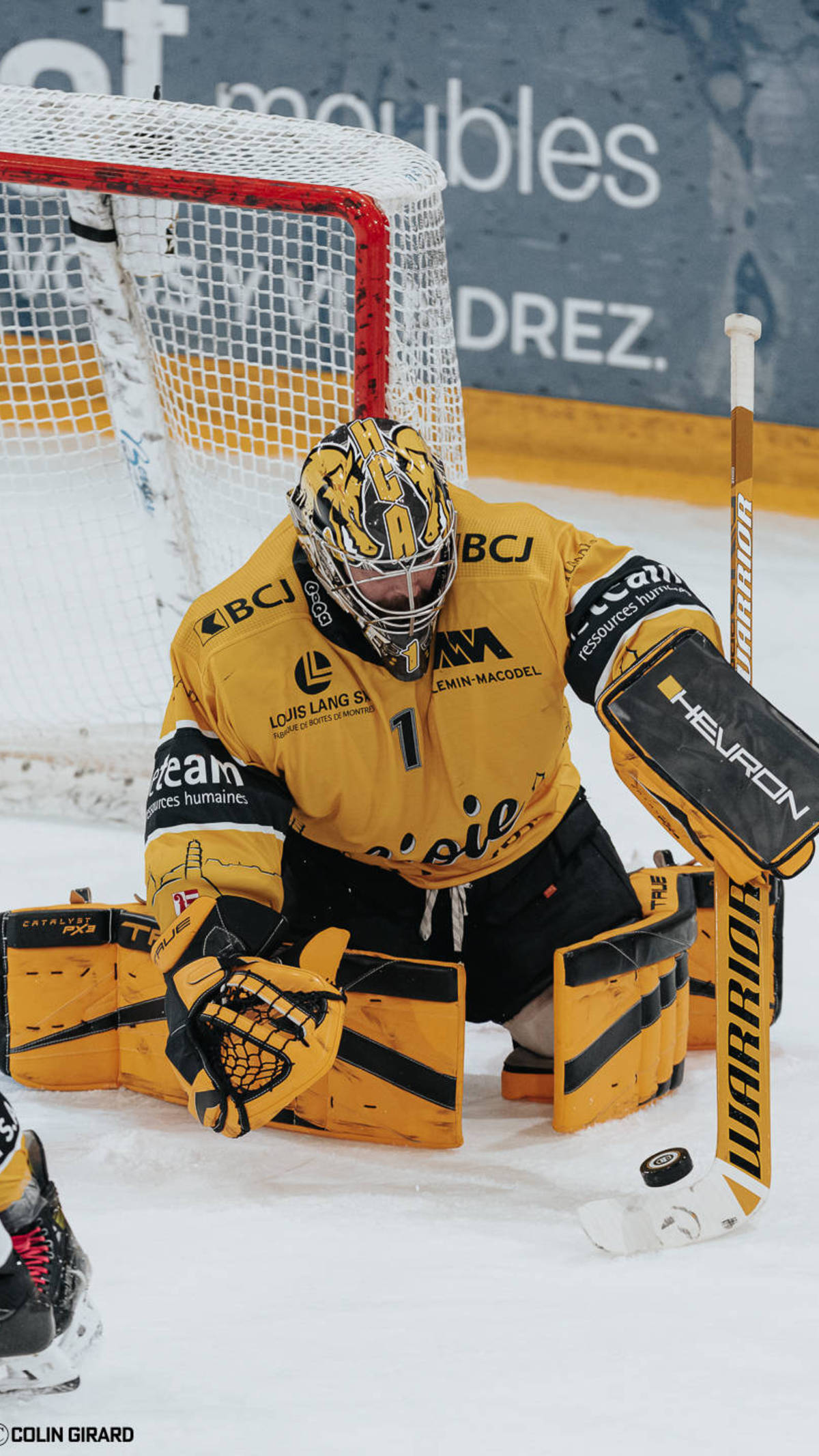 HC Ajoie - HC Lugano 11.01.2025