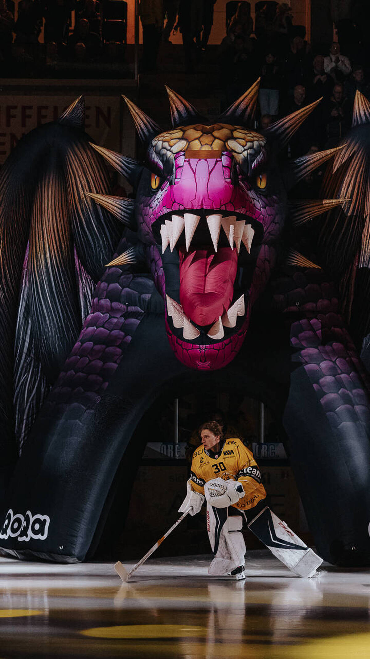 HC Ajoie - EV Zug 29.11.25