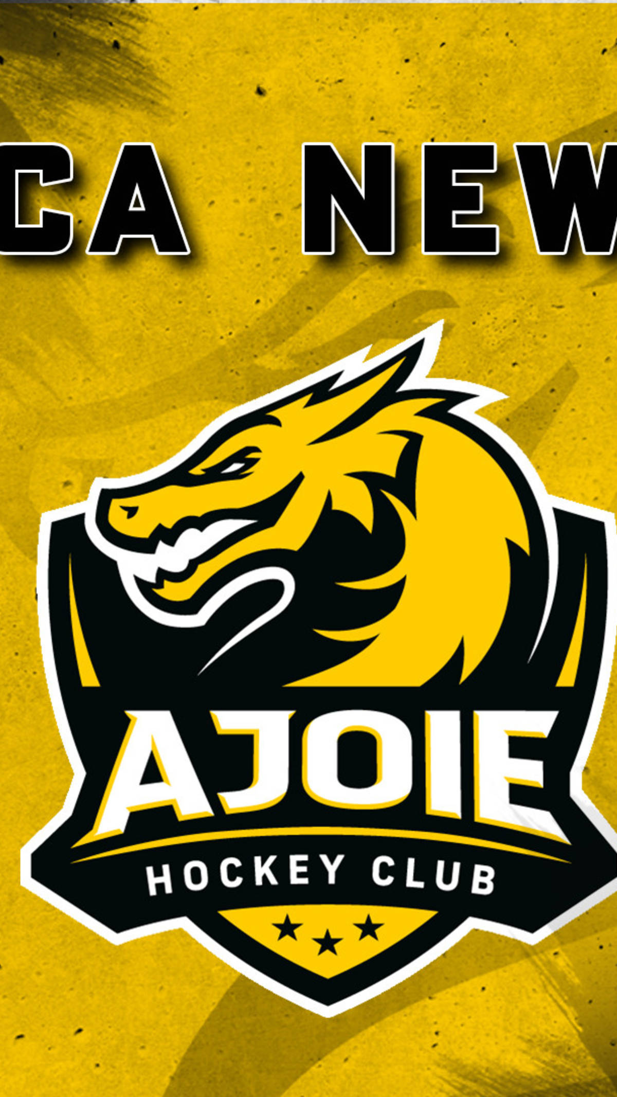 Joueurs en licence B