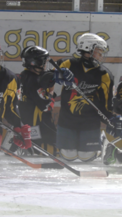 L'interview de Sophie Dandois