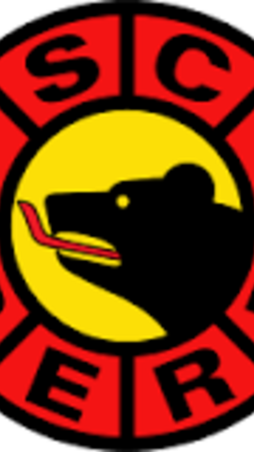 1/4 de finale reporté