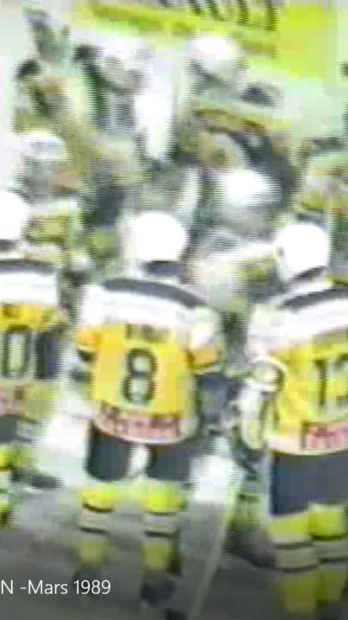 Tour de promotion/relégation LNA/LNB 1989