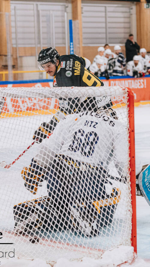 Ajoie revient à la hauteur de Kloten