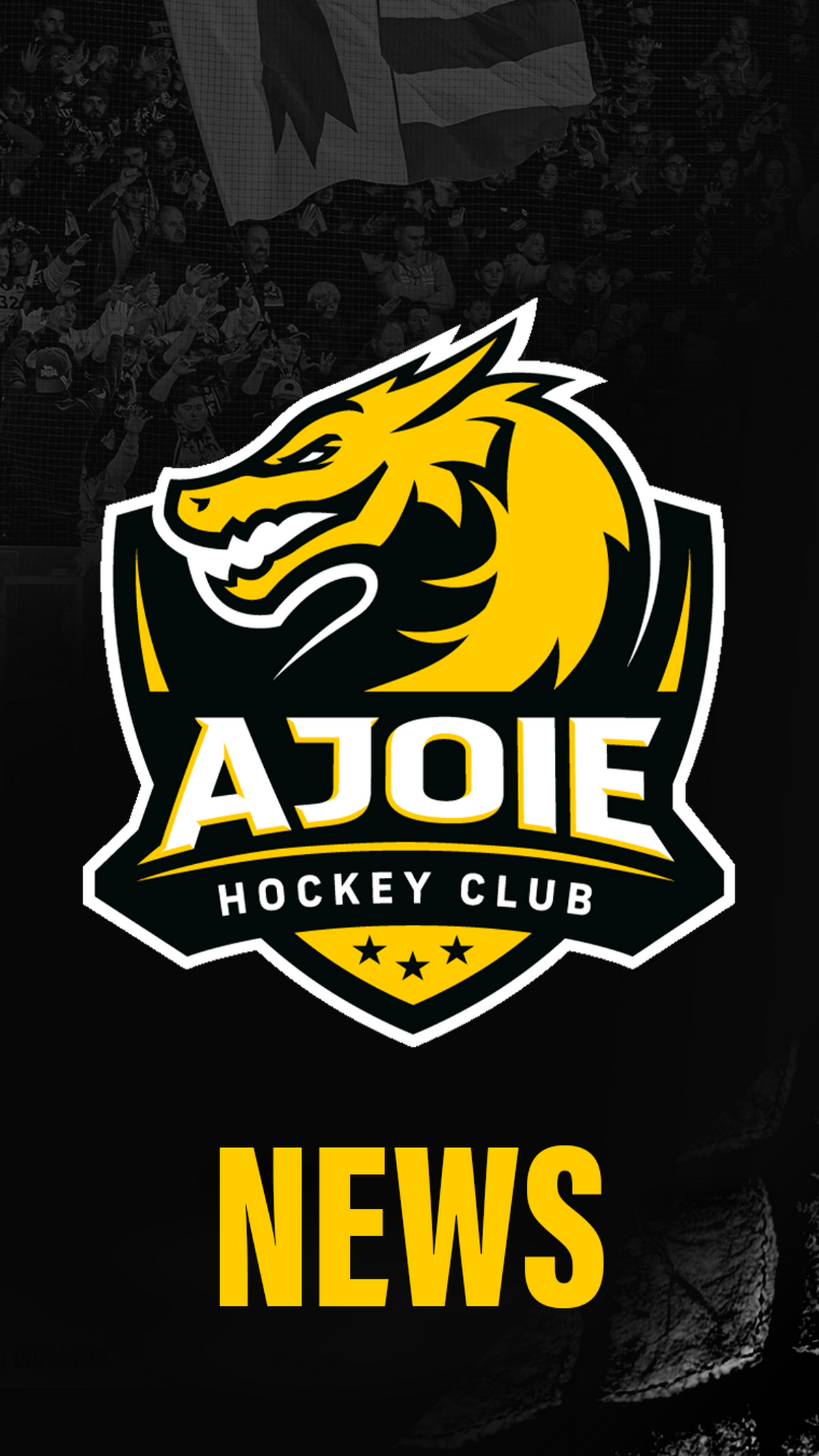 Nouvelles arrivées au HC Ajoie