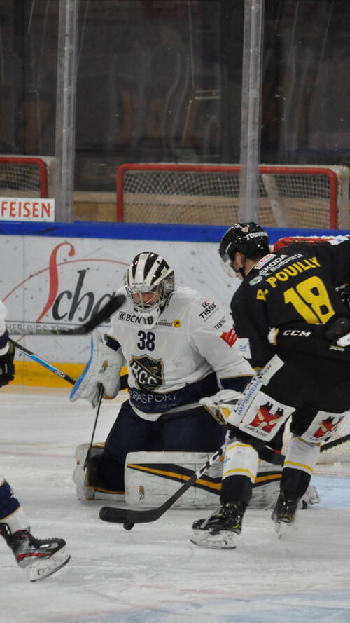 Les Vouivres matent les Abeilles