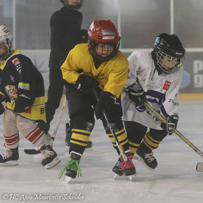 Entraînement école de hockey du 27.01.16