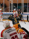 C.G Photographie, Colin Girard, HCA, HCAjoie, Hockey Club Ajoie, NL, National League, Porrentruy, RAIFFEISEN ARENA, Saison 2023-24, hockey