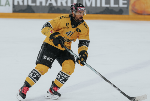 bellemare en jaune (ouverture dans une nouvelle fenêtre)