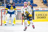 1. mannschaft, Eishockey, HC Davos, HCD, davos, meisterschaft