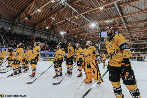 Parrainage joueurs suisses etrangers et staff (ouverture dans une nouvelle fenêtre)