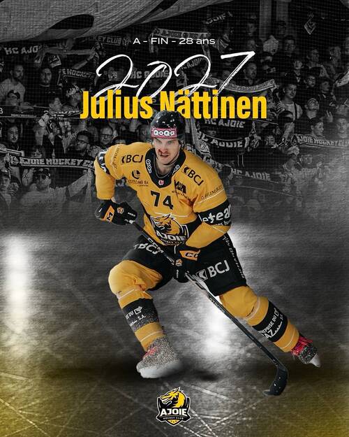 julius nattinen