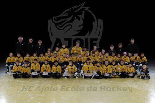 photo d'équipe école de hockey