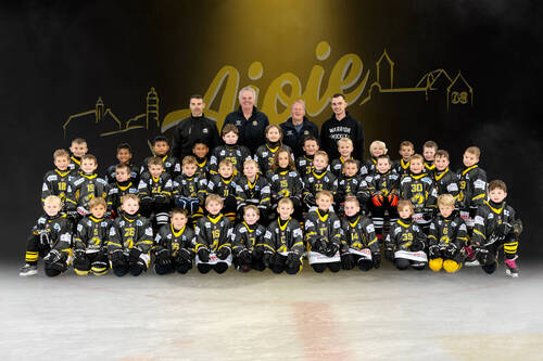 photo equipe ecole de hockey