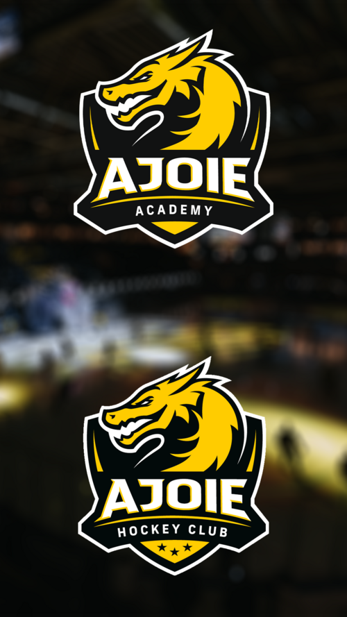 couverture de la news avec les deux logos de l'academy et du hca