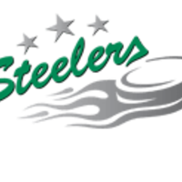 Bietigheim Steelers (DEL)